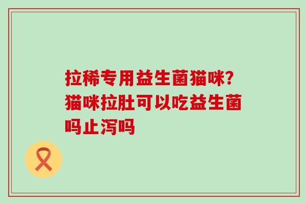 拉稀专用益生菌猫咪？猫咪拉肚可以吃益生菌吗止泻吗