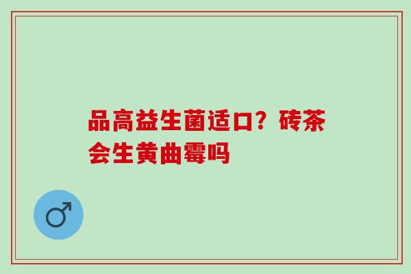 品高益生菌适口？砖茶会生黄曲霉吗