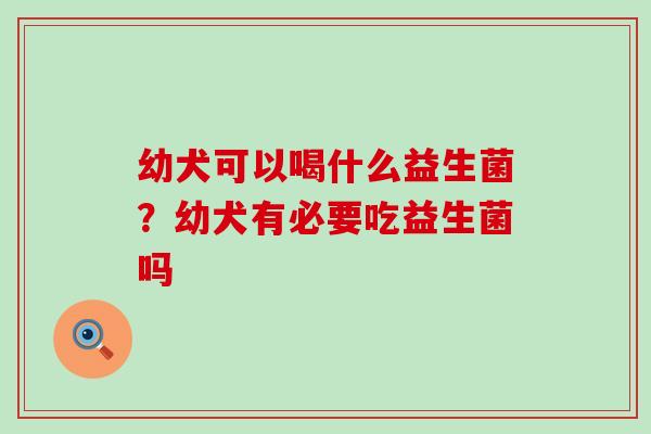 幼犬可以喝什么益生菌?幼犬有必要吃益生菌吗 幼犬可以喝什么益生菌?幼犬有必要吃益生菌吗