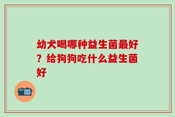 幼犬喝哪种益生菌好？给狗狗吃什么益生菌好