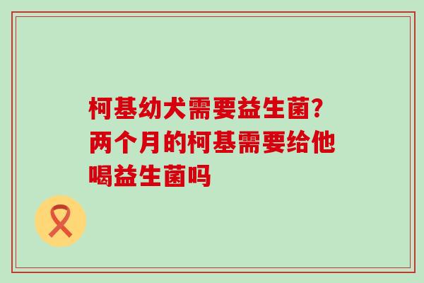 柯基幼犬需要益生菌？两个月的柯基需要给他喝益生菌吗
