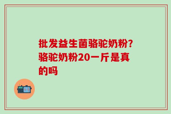批发益生菌骆驼奶粉？骆驼奶粉20一斤是真的吗