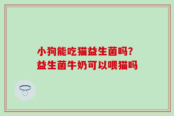 小狗能吃猫益生菌吗？益生菌牛奶可以喂猫吗