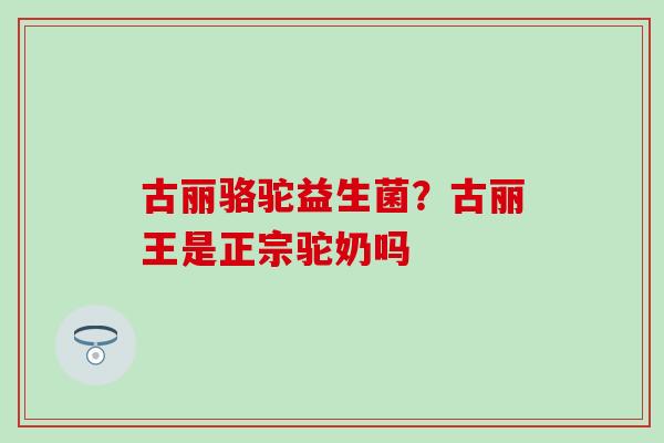 古丽骆驼益生菌？古丽王是正宗驼奶吗