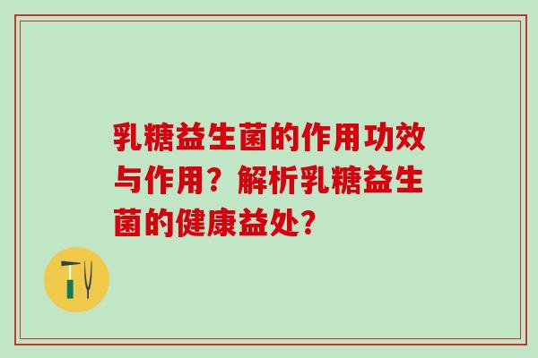 乳糖益生菌的作用功效与作用？解析乳糖益生菌的健康益处？