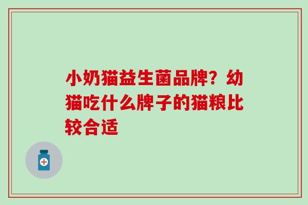 小奶猫益生菌品牌？幼猫吃什么牌子的猫粮比较合适
