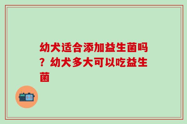 幼犬适合添加益生菌吗？幼犬多大可以吃益生菌
