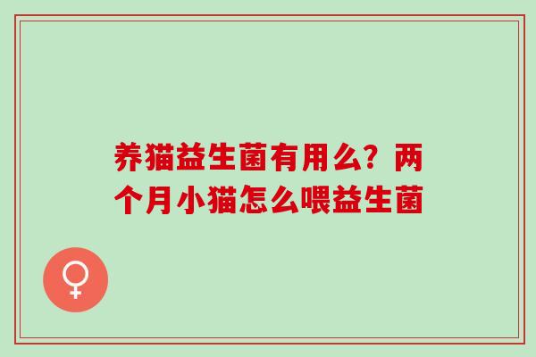 养猫益生菌有用么？两个月小猫怎么喂益生菌