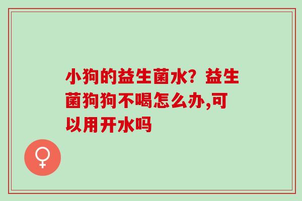 小狗的益生菌水？益生菌狗狗不喝怎么办,可以用开水吗