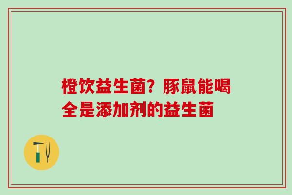 橙饮益生菌？豚鼠能喝全是添加剂的益生菌