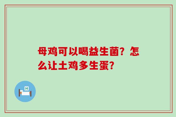 母鸡可以喝益生菌？怎么让土鸡多生蛋？