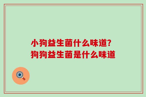 小狗益生菌什么味道？狗狗益生菌是什么味道
