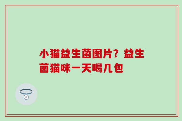 小猫益生菌图片？益生菌猫咪一天喝几包
