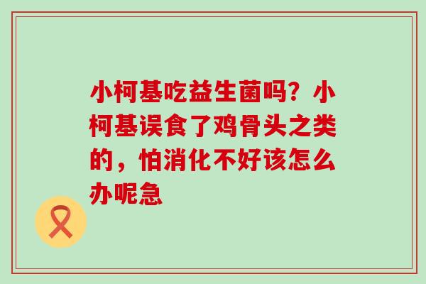 小柯基吃益生菌吗?小柯基误食了鸡骨头之类的,怕消化不好该怎么办呢急 小柯基吃益生菌吗?小柯基误食了鸡骨头之类的,怕消化不好该怎么办呢急