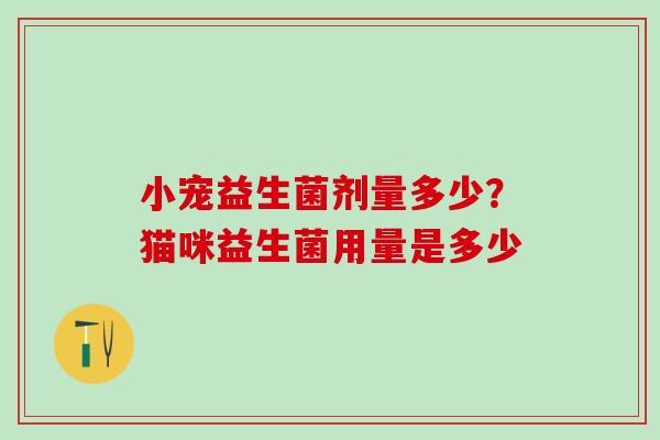 小宠益生菌剂量多少？猫咪益生菌用量是多少