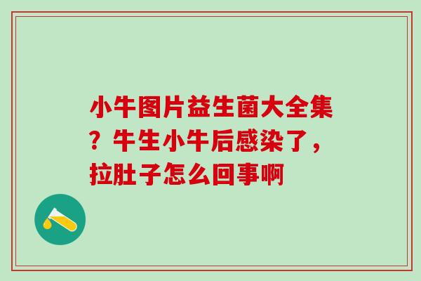 小牛图片益生菌大全集？牛生小牛后了，拉肚子怎么回事啊