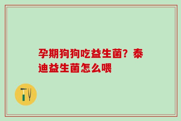 孕期狗狗吃益生菌？泰迪益生菌怎么喂