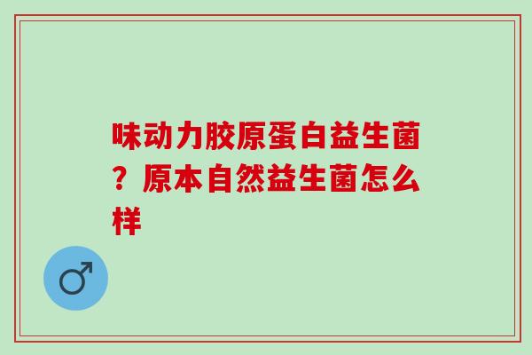 味动力胶原蛋白益生菌？原本自然益生菌怎么样