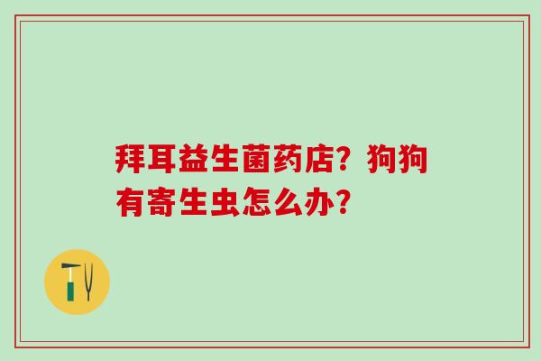 拜耳益生菌药店？狗狗有寄生虫怎么办？