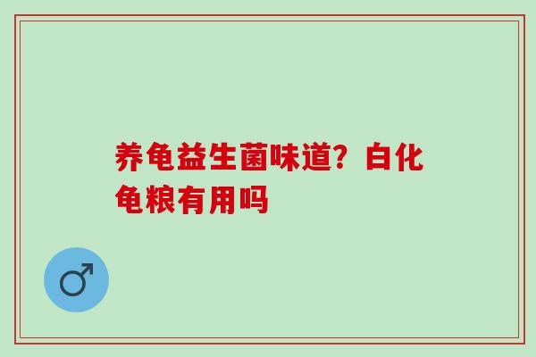 养龟益生菌味道？白化龟粮有用吗
