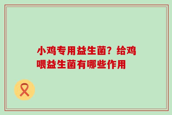 小鸡专用益生菌？给鸡喂益生菌有哪些作用