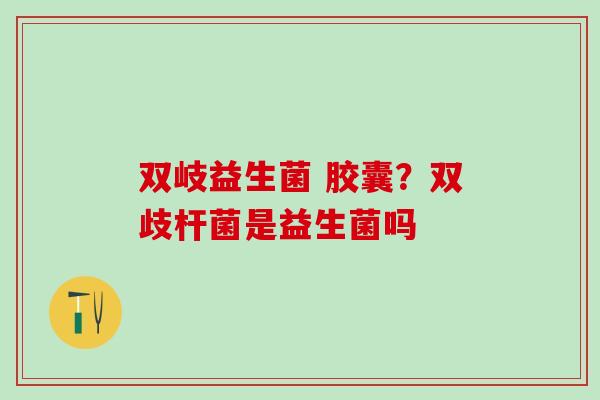 双岐益生菌 胶囊？双歧杆菌是益生菌吗