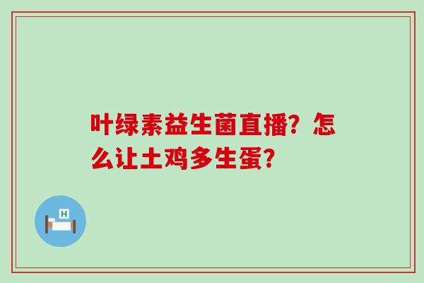 叶绿素益生菌直播？怎么让土鸡多生蛋？