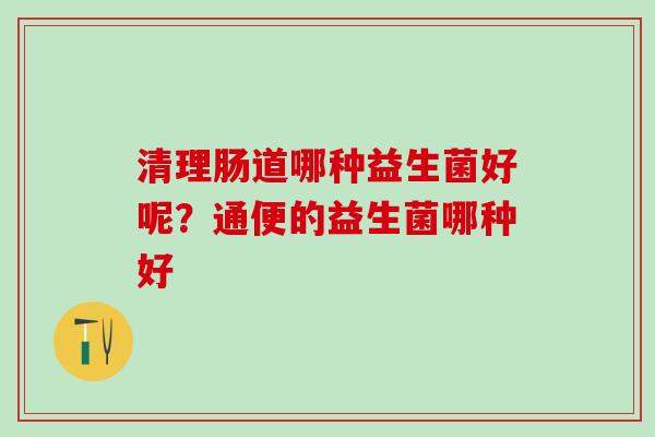 清理肠道哪种益生菌好呢？通便的益生菌哪种好