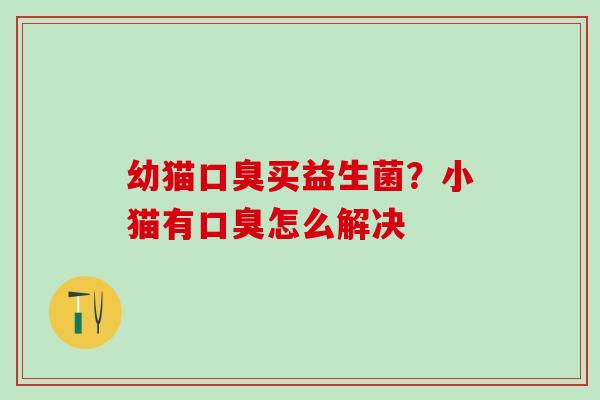 幼猫买益生菌？小猫有怎么解决