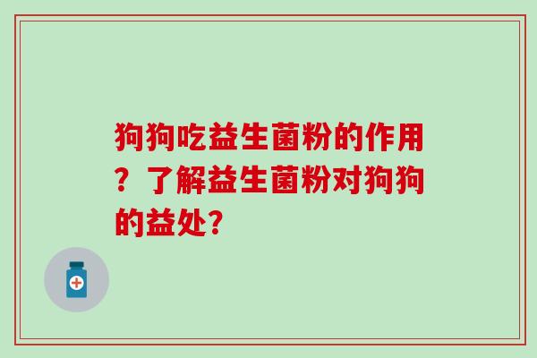 狗狗吃益生菌粉的作用？了解益生菌粉对狗狗的益处？