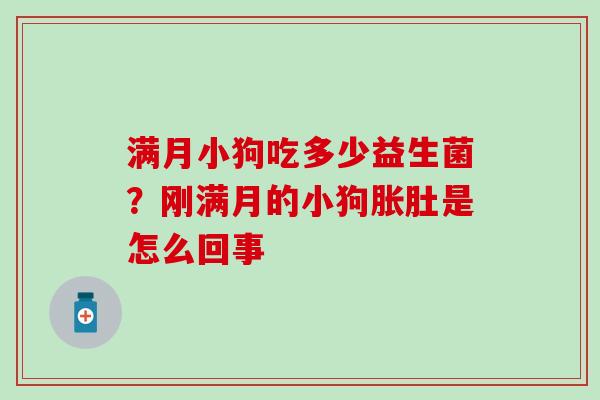 满月小狗吃多少益生菌？刚满月的小狗胀肚是怎么回事
