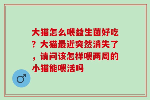 大猫怎么喂益生菌好吃？大猫近突然消失了，请问该怎样喂两周的小猫能喂活吗