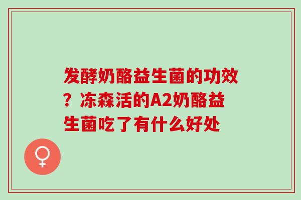 发酵奶酪益生菌的功效？冻森活的A2奶酪益生菌吃了有什么好处