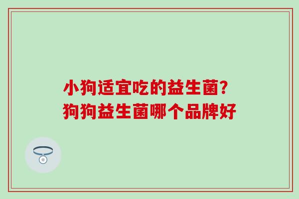 小狗适宜吃的益生菌？狗狗益生菌哪个品牌好
