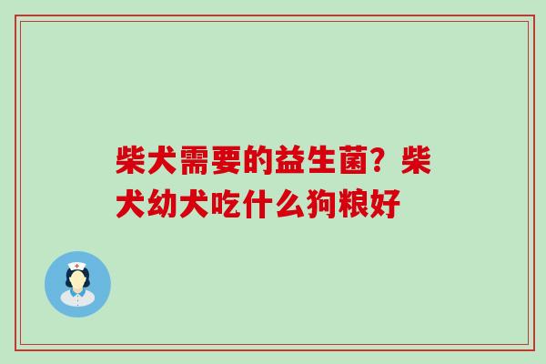 柴犬需要的益生菌?柴犬幼犬吃什么狗粮好 柴犬需要的益生菌?柴犬幼犬吃什么狗粮好