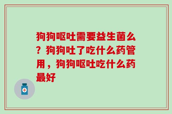 狗狗需要益生菌么？狗狗吐了吃什么药管用，狗狗吃什么药好