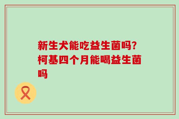 新生犬能吃益生菌吗？柯基四个月能喝益生菌吗