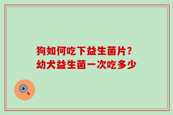 狗如何吃下益生菌片？幼犬益生菌一次吃多少