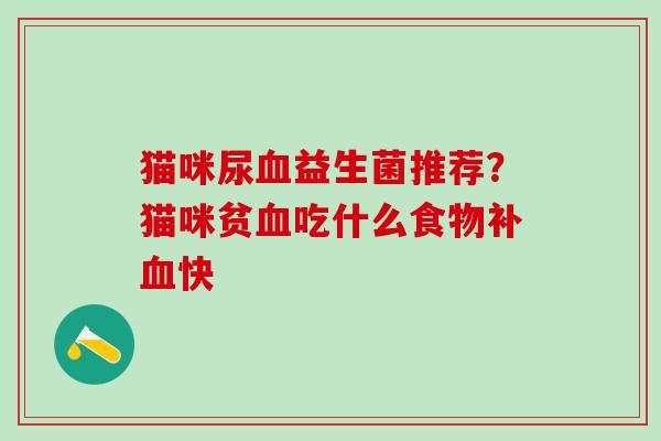 猫咪尿益生菌推荐？猫咪贫吃什么食物补快