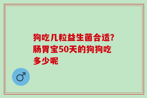 狗吃几粒益生菌合适？肠胃宝50天的狗狗吃多少呢