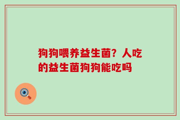 狗狗喂养益生菌？人吃的益生菌狗狗能吃吗