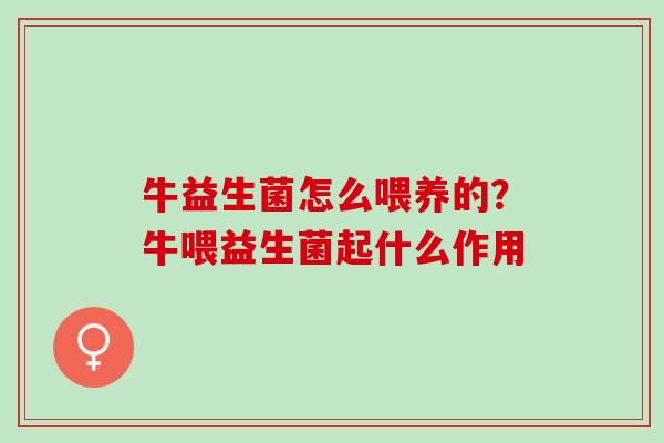 牛益生菌怎么喂养的？牛喂益生菌起什么作用
