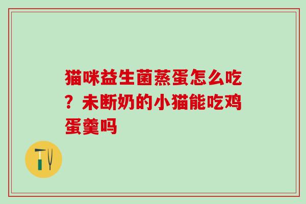猫咪益生菌蒸蛋怎么吃？未断奶的小猫能吃鸡蛋羹吗