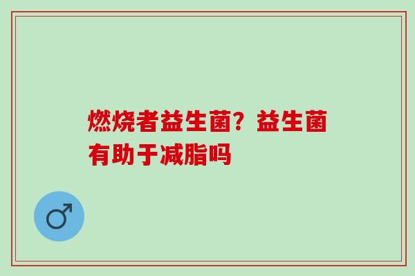 燃烧者益生菌？益生菌有助于减脂吗