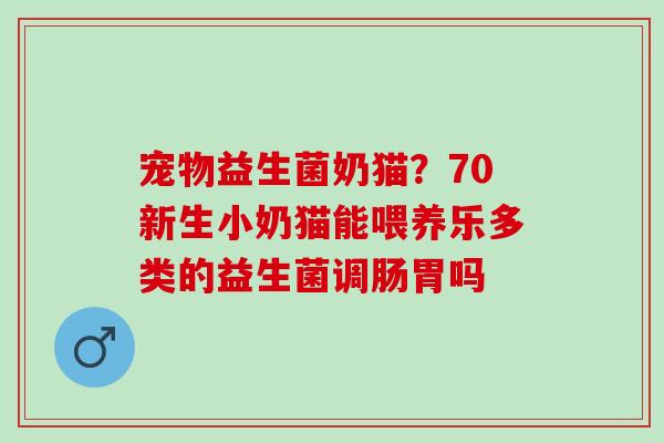 宠物益生菌奶猫？70新生小奶猫能喂养乐多类的益生菌调肠胃吗