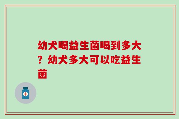 幼犬喝益生菌喝到多大？幼犬多大可以吃益生菌