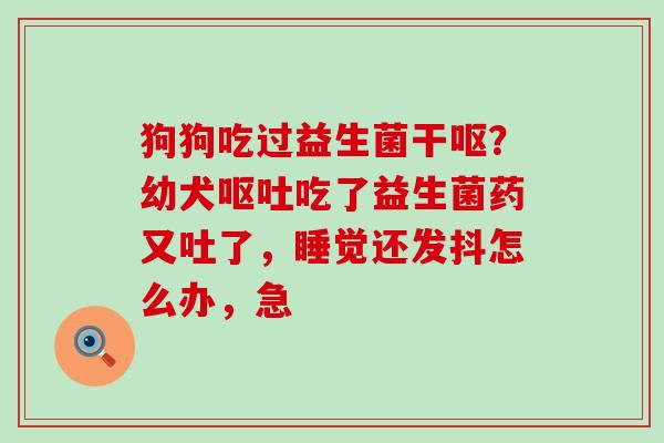 狗狗吃过益生菌干呕？幼犬吃了益生菌药又吐了，睡觉还发抖怎么办，急