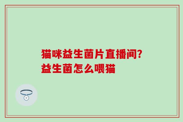 猫咪益生菌片直播间？益生菌怎么喂猫