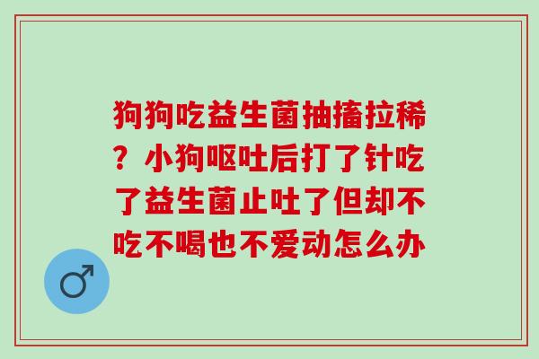 狗狗吃益生菌抽搐拉稀？小狗后打了针吃了益生菌止吐了但却不吃不喝也不爱动怎么办