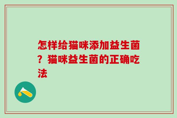 怎样给猫咪添加益生菌？猫咪益生菌的正确吃法